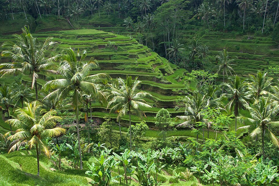 Tegallalang — Bali