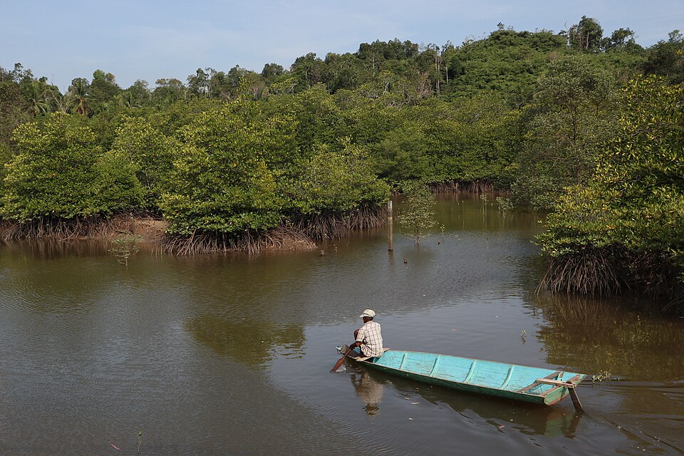 Mangrove — Balikpapan
