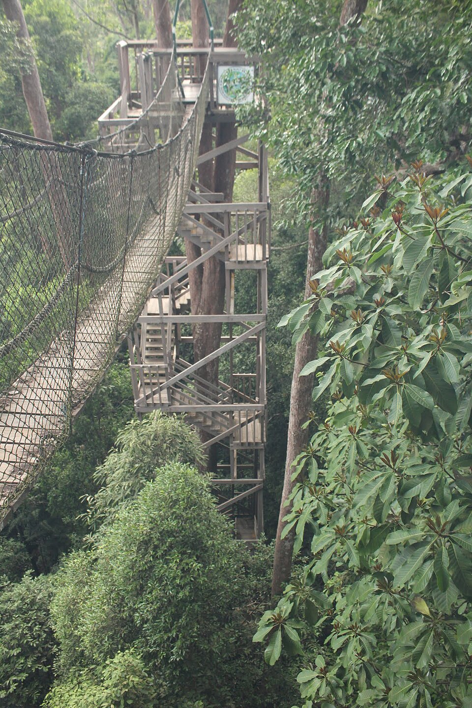 Bangkirai — Balikpapan