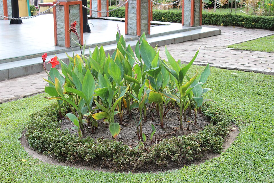 Taman Bertam — Pekanbaru